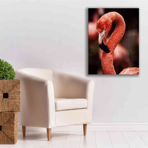 'Caribbean Flamingo II' by Debra Van Swearingen, Canvas Wall Art,26 x 34