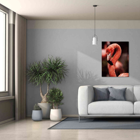 Image of 'Caribbean Flamingo II' by Debra Van Swearingen, Canvas Wall Art,26 x 34