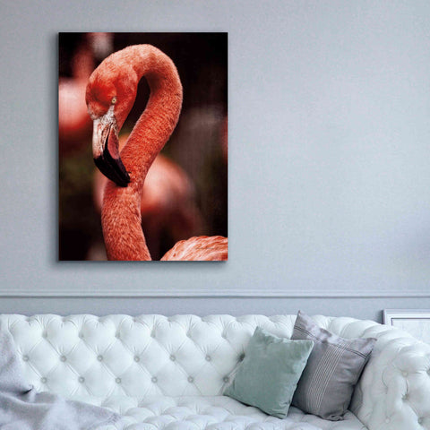 Image of 'Caribbean Flamingo II' by Debra Van Swearingen, Canvas Wall Art,40 x 54