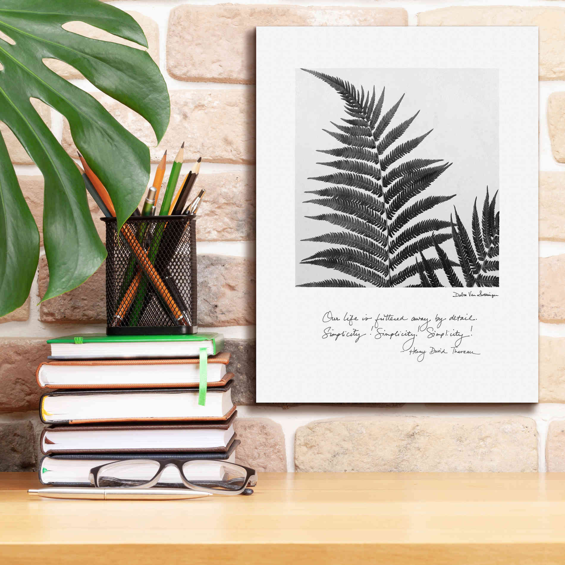 'Delicate Fern v2' by Debra Van Swearingen, Canvas Wall Art,12 x 16