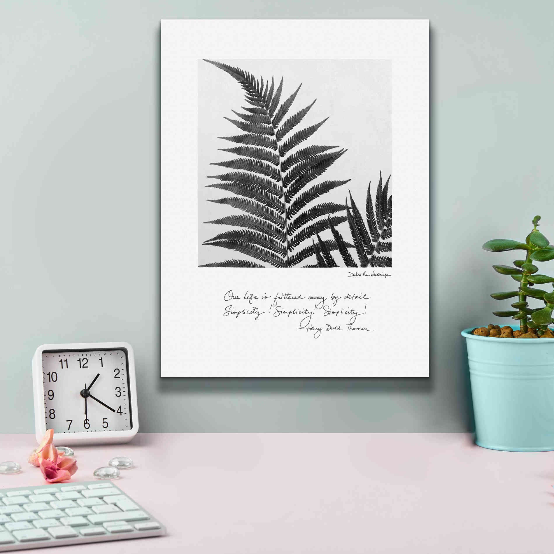 'Delicate Fern v2' by Debra Van Swearingen, Canvas Wall Art,12 x 16