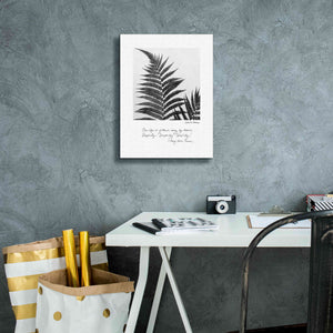 'Delicate Fern v2' by Debra Van Swearingen, Canvas Wall Art,12 x 16