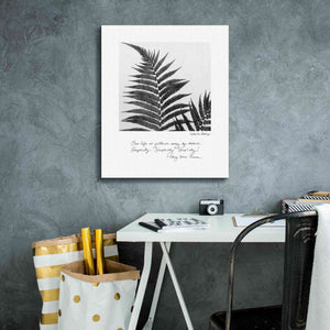 'Delicate Fern v2' by Debra Van Swearingen, Canvas Wall Art,20 x 24