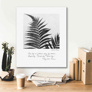 'Delicate Fern v2' by Debra Van Swearingen, Canvas Wall Art,20 x 24