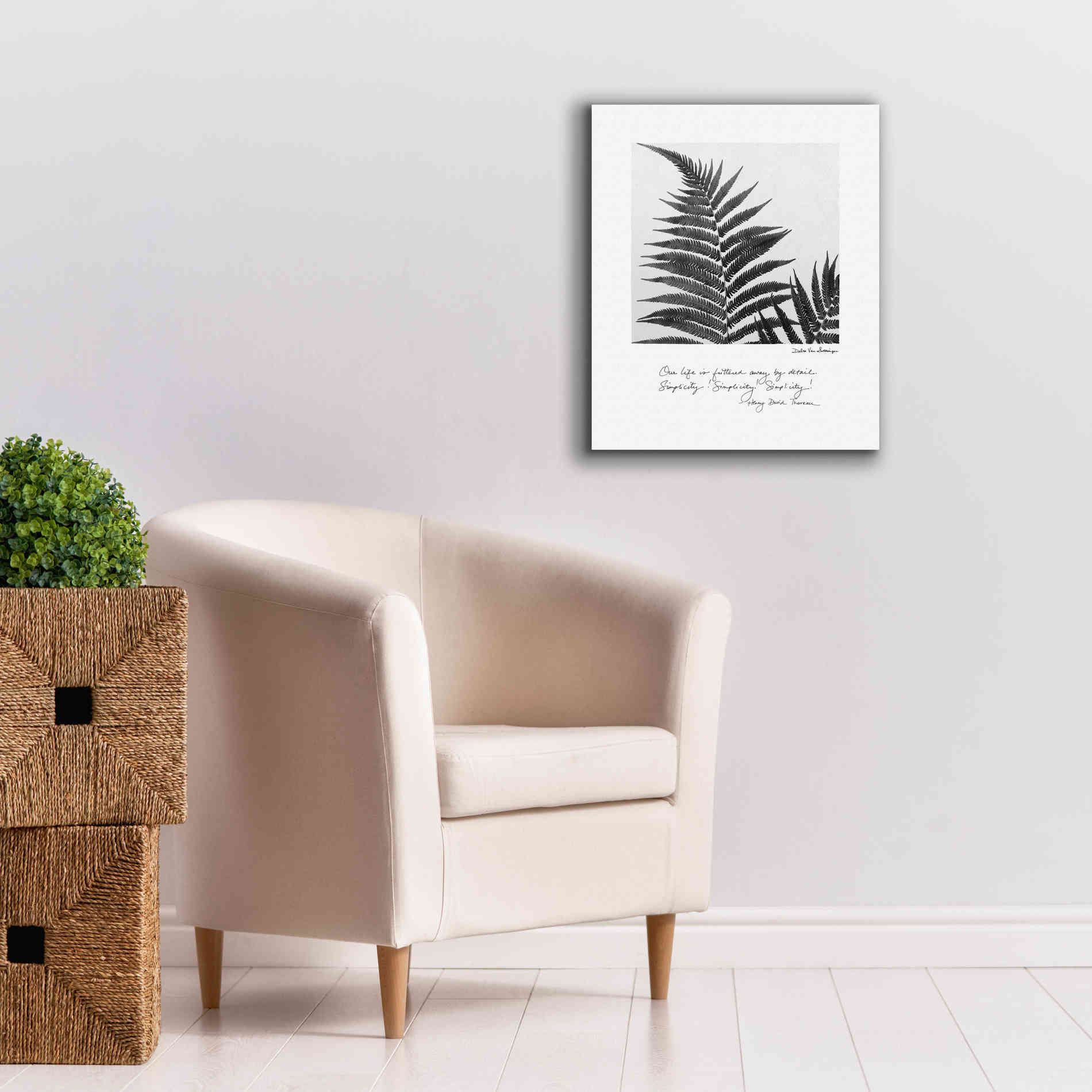 'Delicate Fern v2' by Debra Van Swearingen, Canvas Wall Art,20 x 24