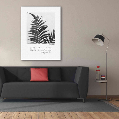 Image of 'Delicate Fern v2' by Debra Van Swearingen, Canvas Wall Art,40 x 54