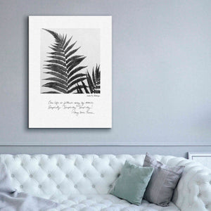 'Delicate Fern v2' by Debra Van Swearingen, Canvas Wall Art,40 x 54