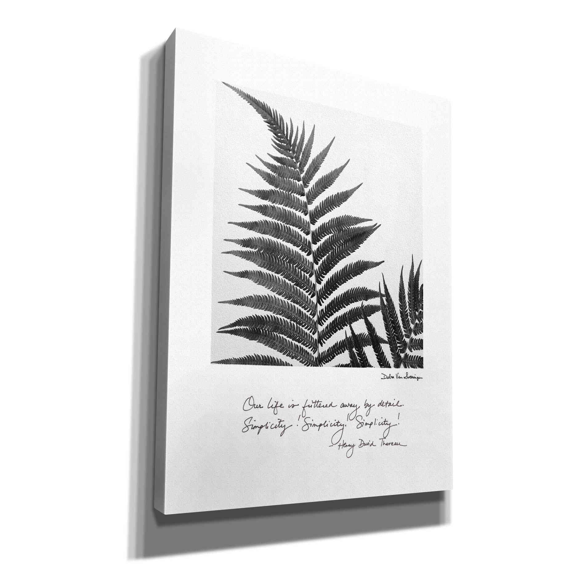 'Delicate Fern v2' by Debra Van Swearingen, Canvas Wall Art,12x16x1.1x0,20x24x1.1x0,26x30x1.74x0,40x54x1.74x0
