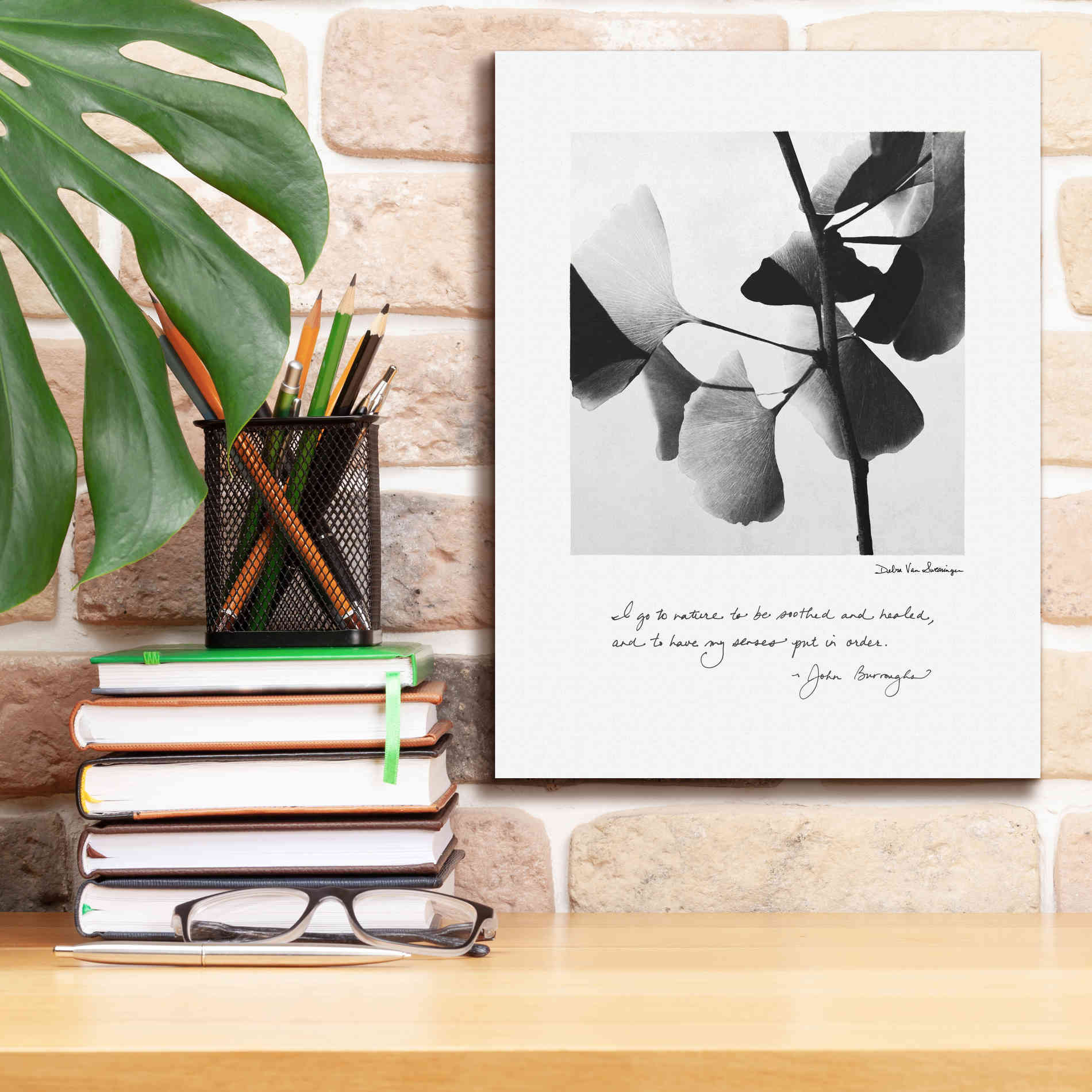 'Delicate Ginkgo v2' by Debra Van Swearingen, Canvas Wall Art,12 x 16
