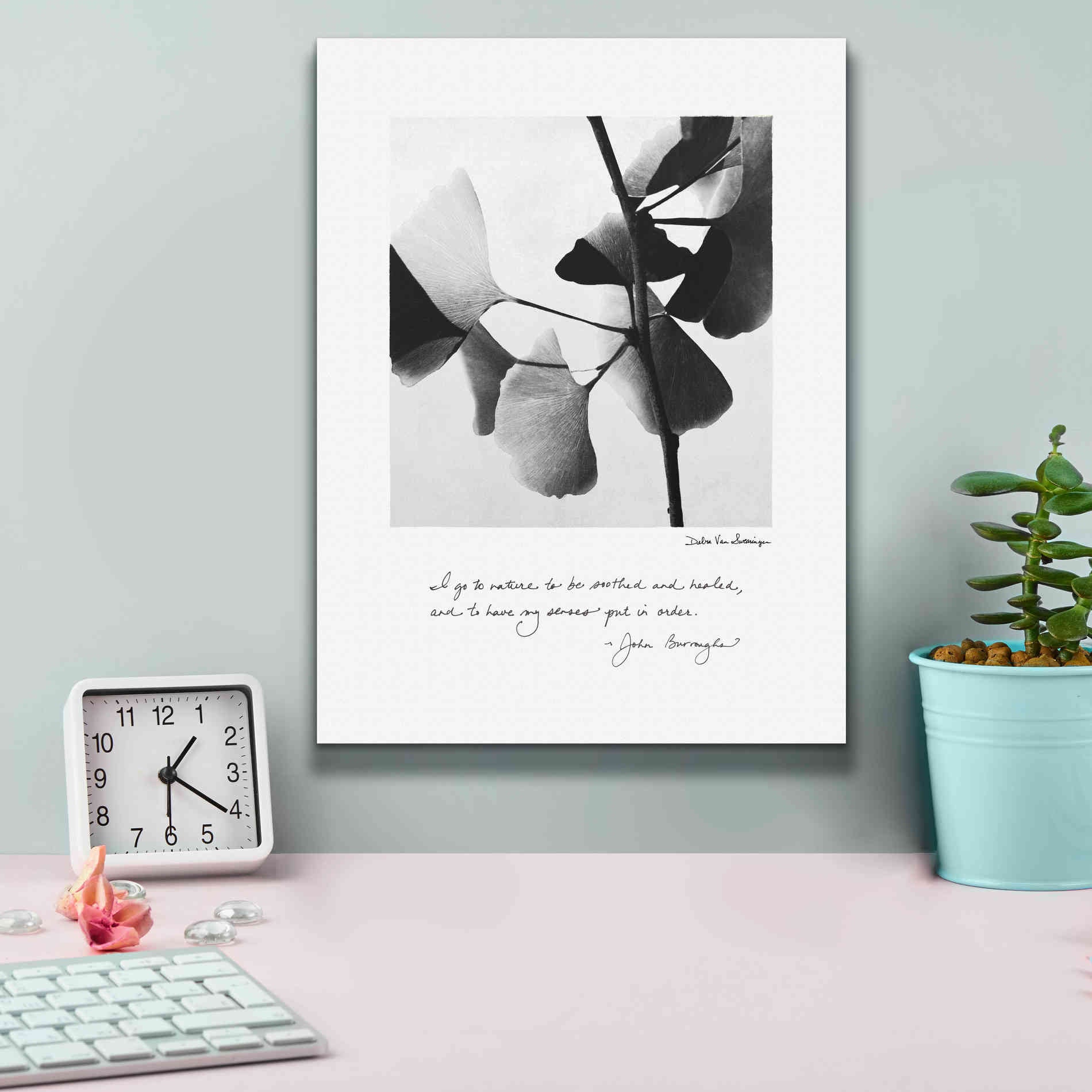 'Delicate Ginkgo v2' by Debra Van Swearingen, Canvas Wall Art,12 x 16