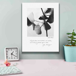 'Delicate Ginkgo v2' by Debra Van Swearingen, Canvas Wall Art,12 x 16