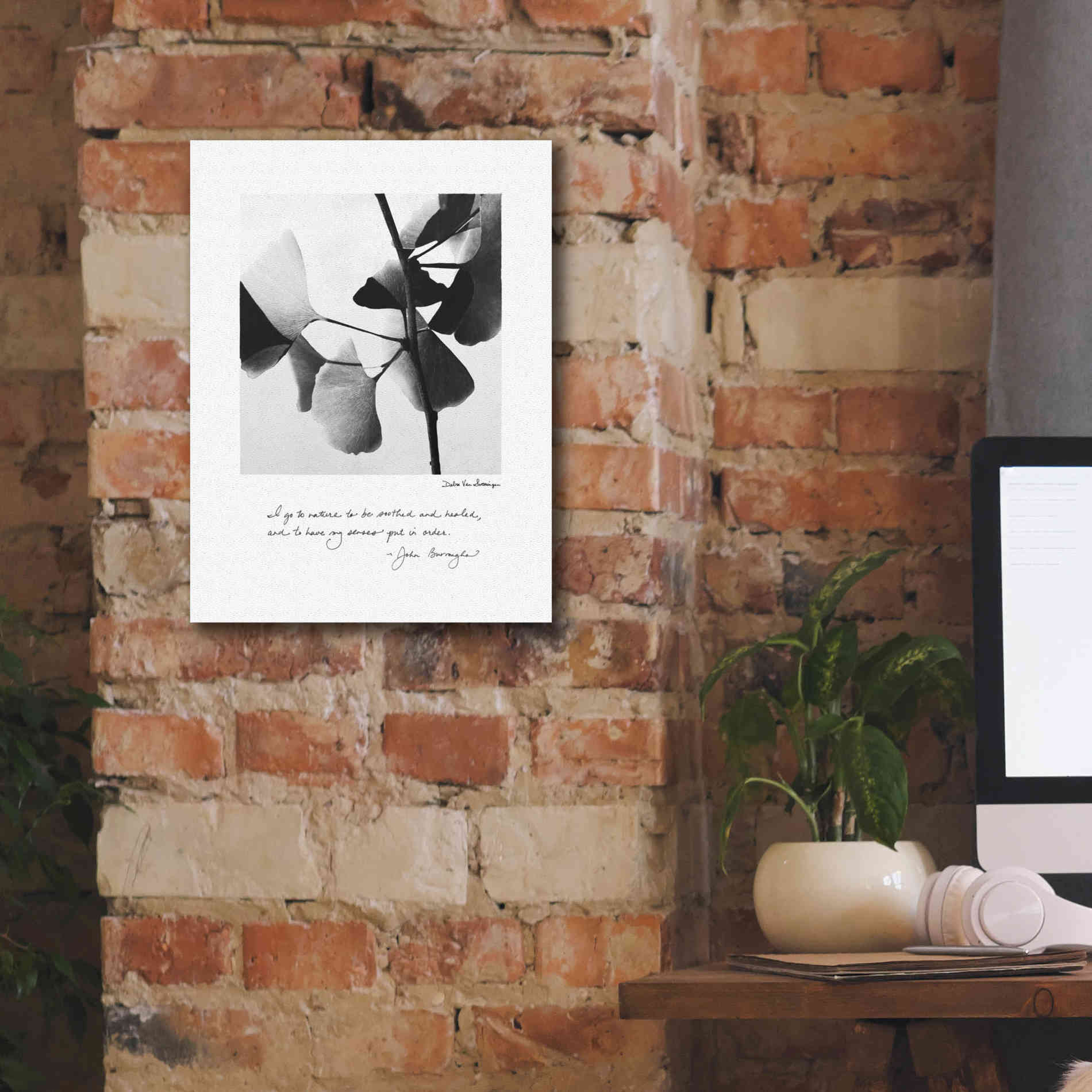'Delicate Ginkgo v2' by Debra Van Swearingen, Canvas Wall Art,12 x 16