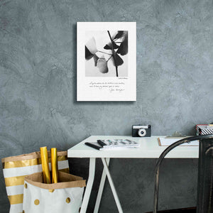 'Delicate Ginkgo v2' by Debra Van Swearingen, Canvas Wall Art,12 x 16