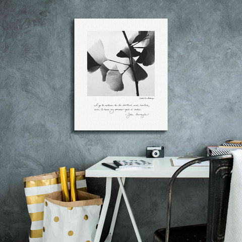 Image of 'Delicate Ginkgo v2' by Debra Van Swearingen, Canvas Wall Art,20 x 24
