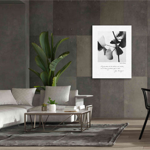 Image of 'Delicate Ginkgo v2' by Debra Van Swearingen, Canvas Wall Art,40 x 54