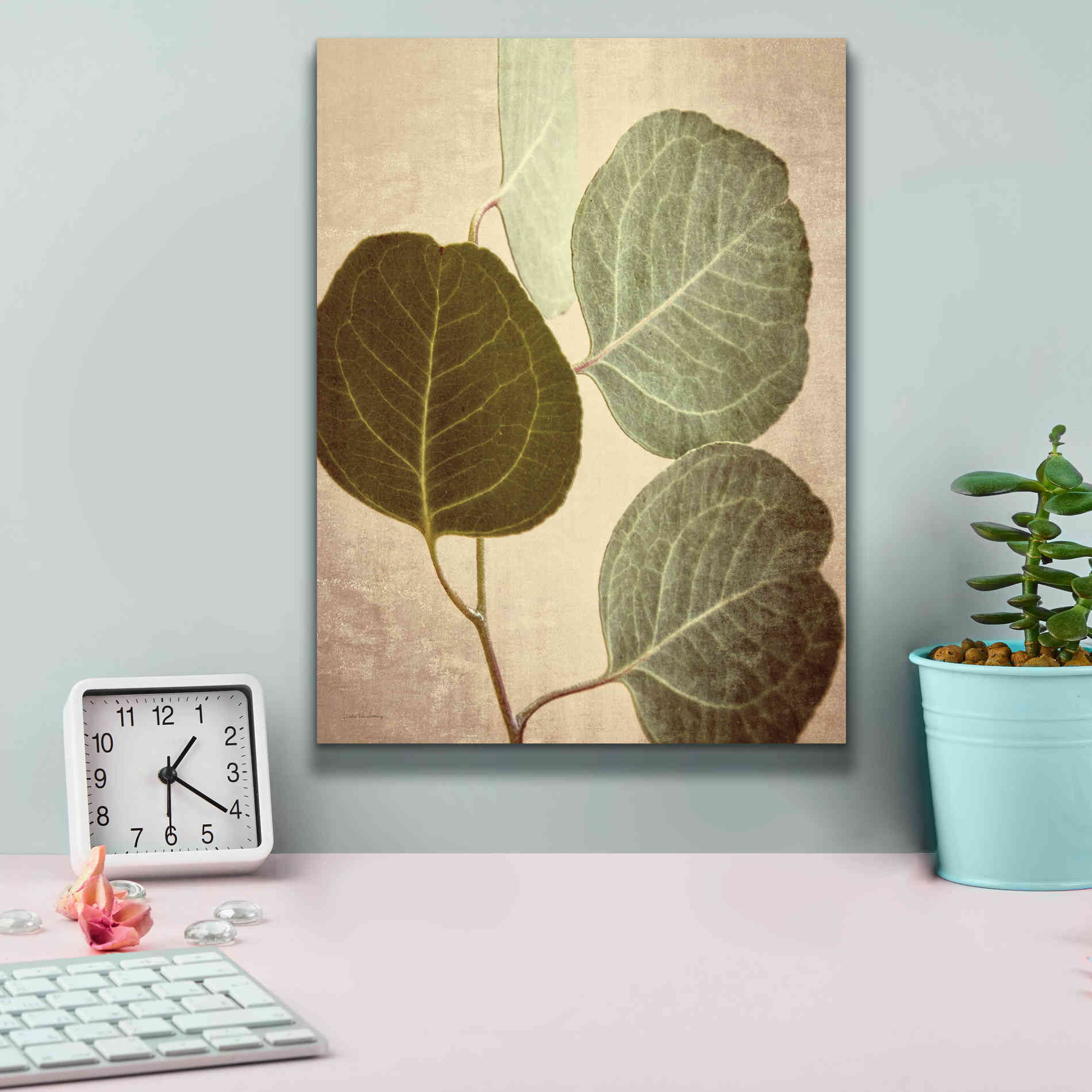 'Eucalyptus Color' by Debra Van Swearingen, Canvas Wall Art,12 x 16