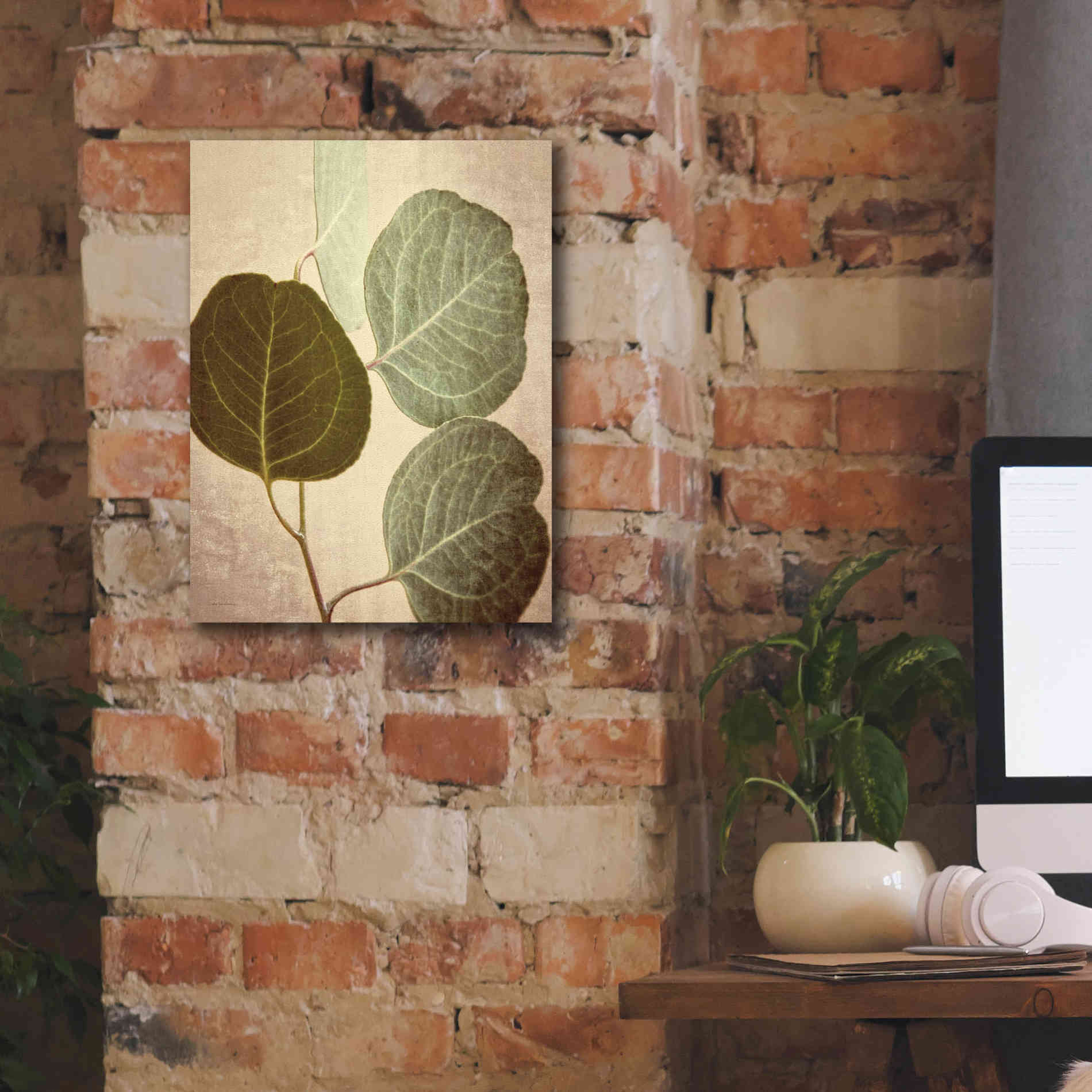 'Eucalyptus Color' by Debra Van Swearingen, Canvas Wall Art,12 x 16