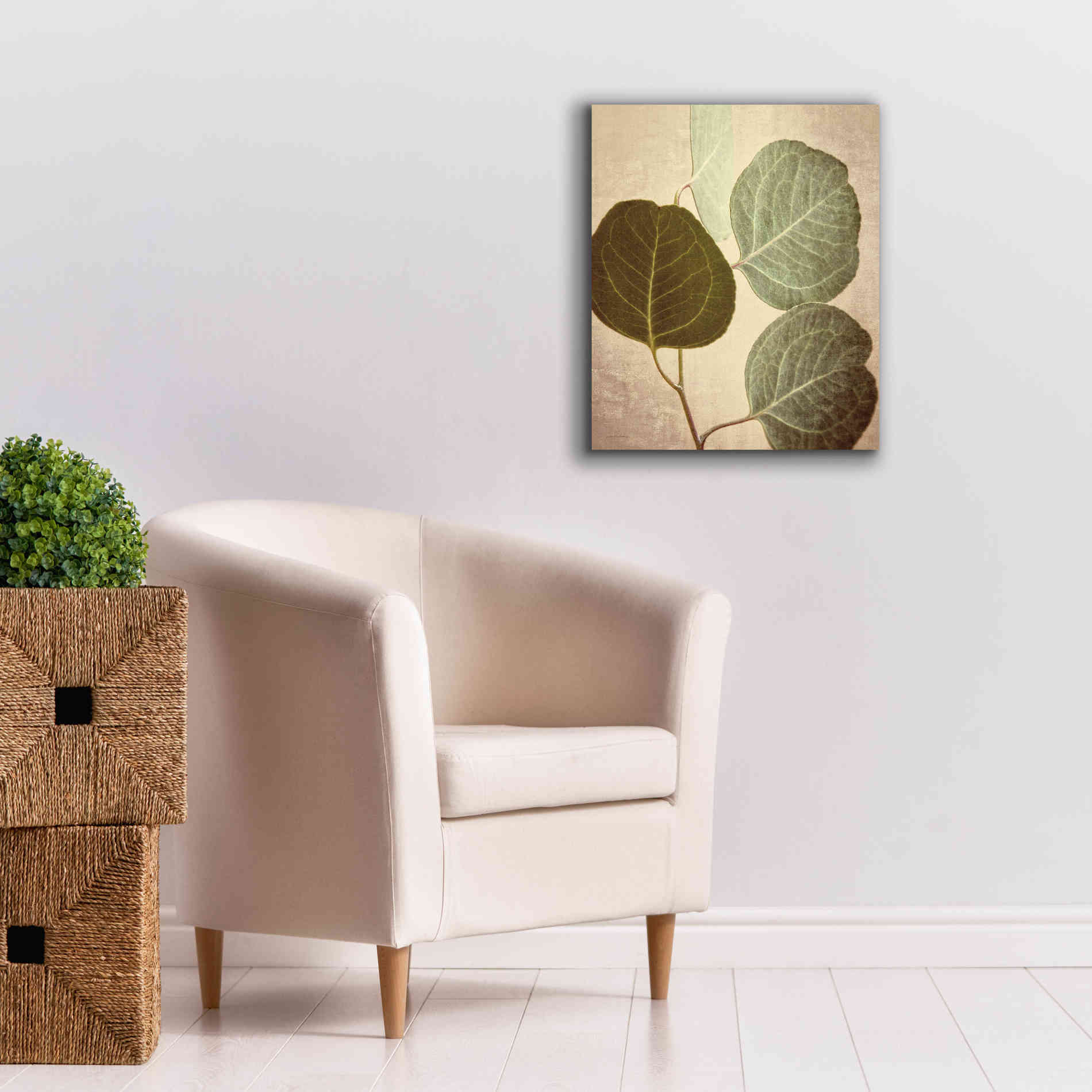 'Eucalyptus Color' by Debra Van Swearingen, Canvas Wall Art,20 x 24