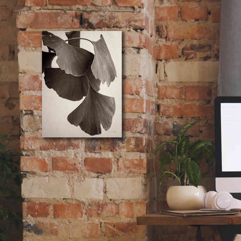 Image of 'Gingko Sepia' by Debra Van Swearingen, Canvas Wall Art,12 x 16