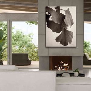 'Gingko Sepia' by Debra Van Swearingen, Canvas Wall Art,40 x 54