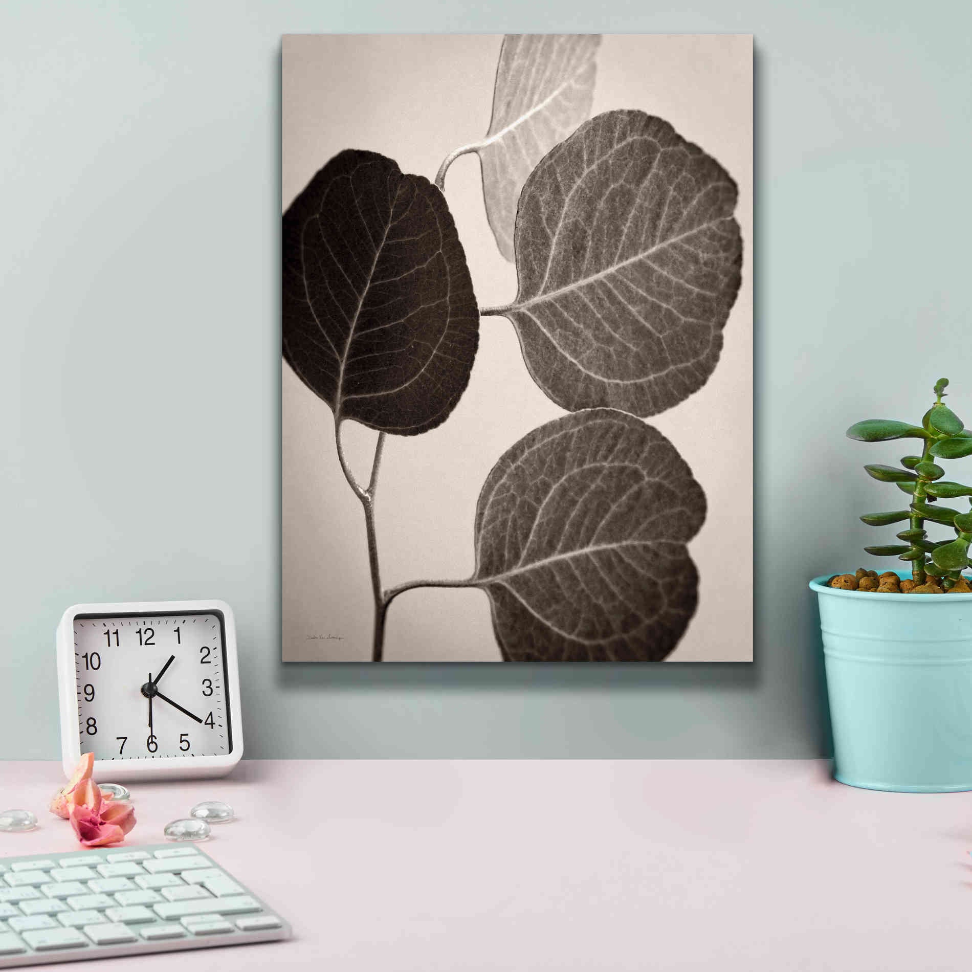 'Eucalyptus Sepia' by Debra Van Swearingen, Canvas Wall Art,12 x 16