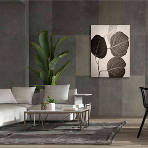 'Eucalyptus Sepia' by Debra Van Swearingen, Canvas Wall Art,40 x 54