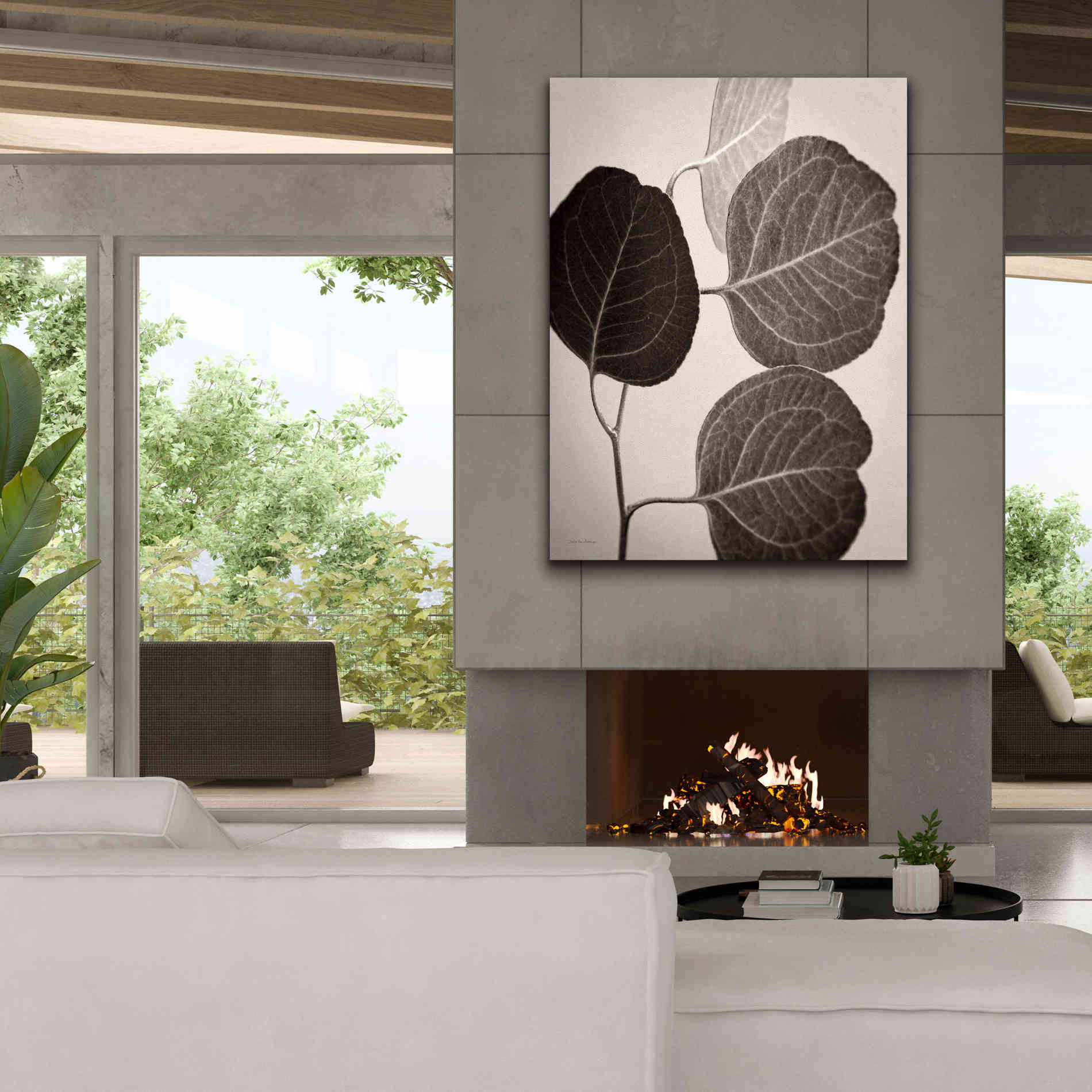 'Eucalyptus Sepia' by Debra Van Swearingen, Canvas Wall Art,40 x 54
