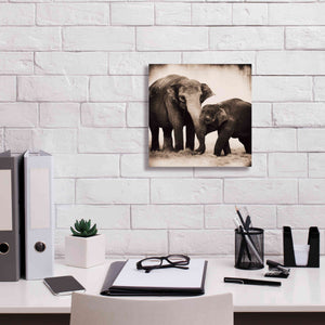 'Elephant III Sepia' by Debra Van Swearingen, Canvas Wall Art,12 x 12