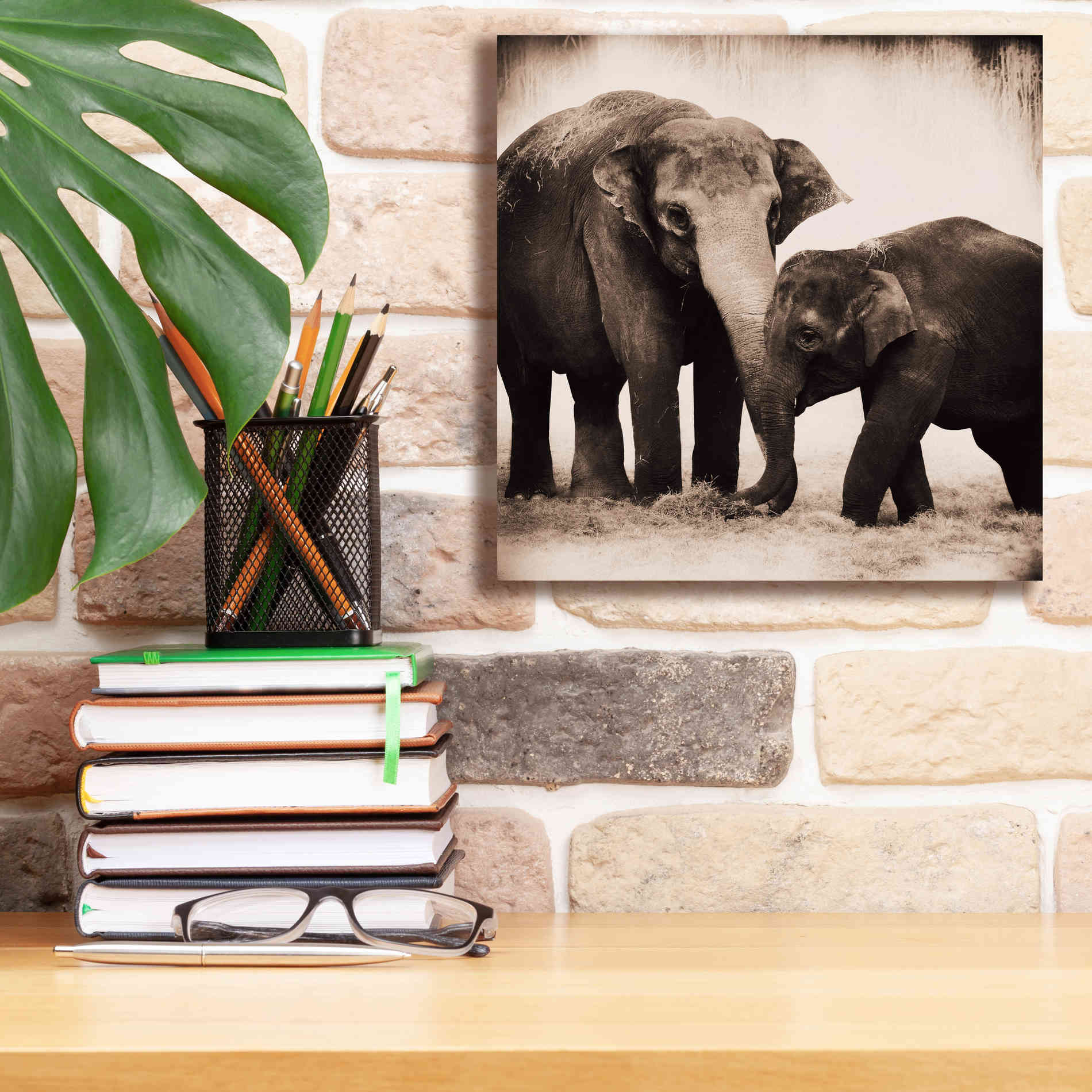 'Elephant III Sepia' by Debra Van Swearingen, Canvas Wall Art,12 x 12