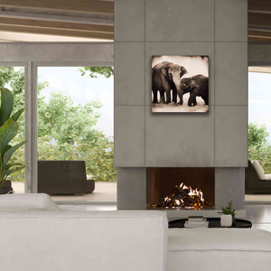 'Elephant III Sepia' by Debra Van Swearingen, Canvas Wall Art,26 x 26