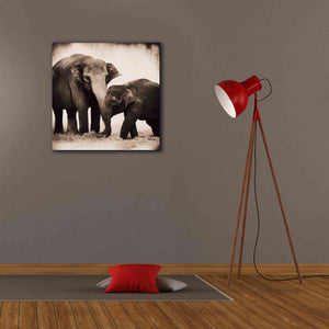 'Elephant III Sepia' by Debra Van Swearingen, Canvas Wall Art,26 x 26