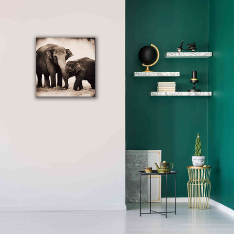 Image of 'Elephant III Sepia' by Debra Van Swearingen, Canvas Wall Art,26 x 26