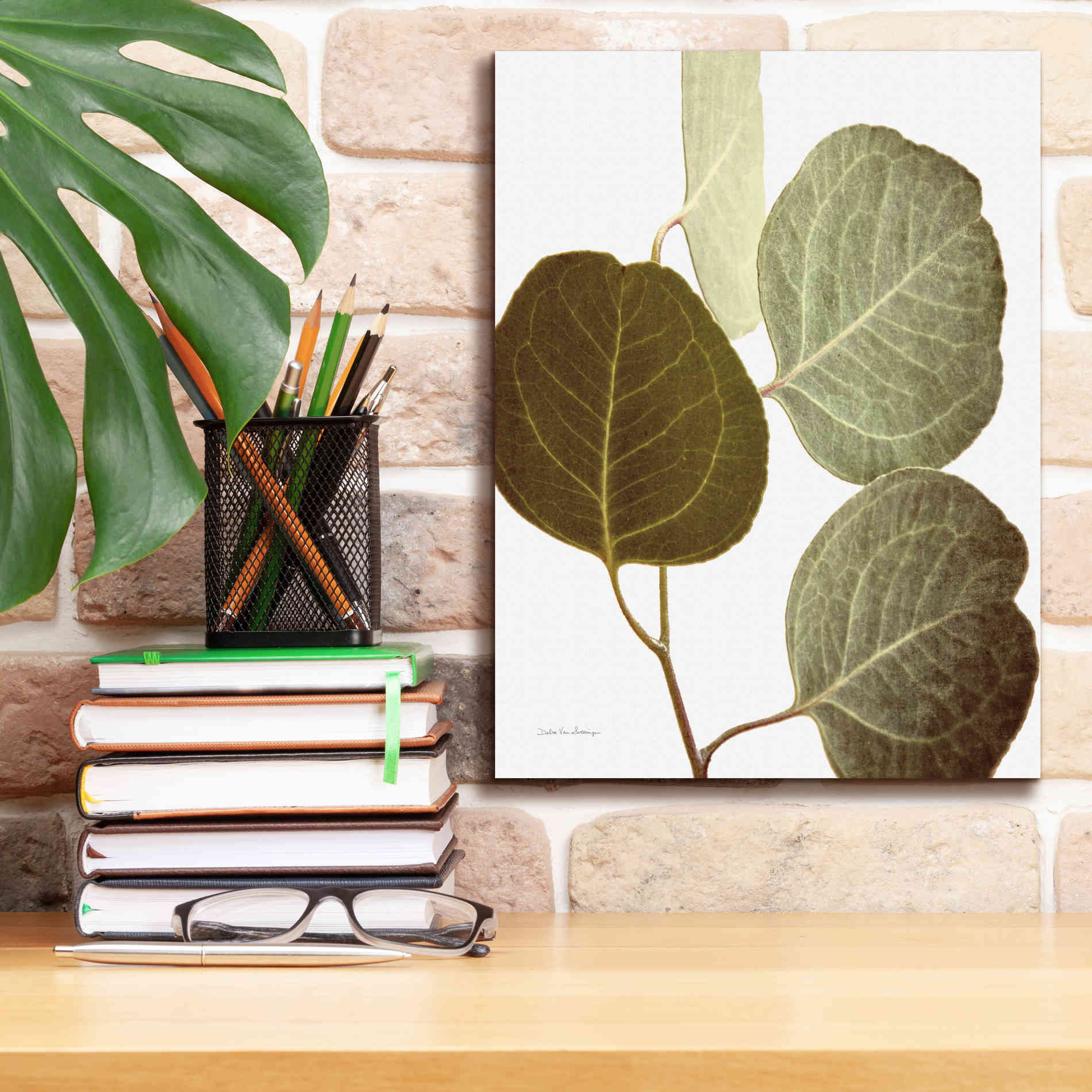 'Eucalyptus Color on White' by Debra Van Swearingen, Canvas Wall Art,12 x 16