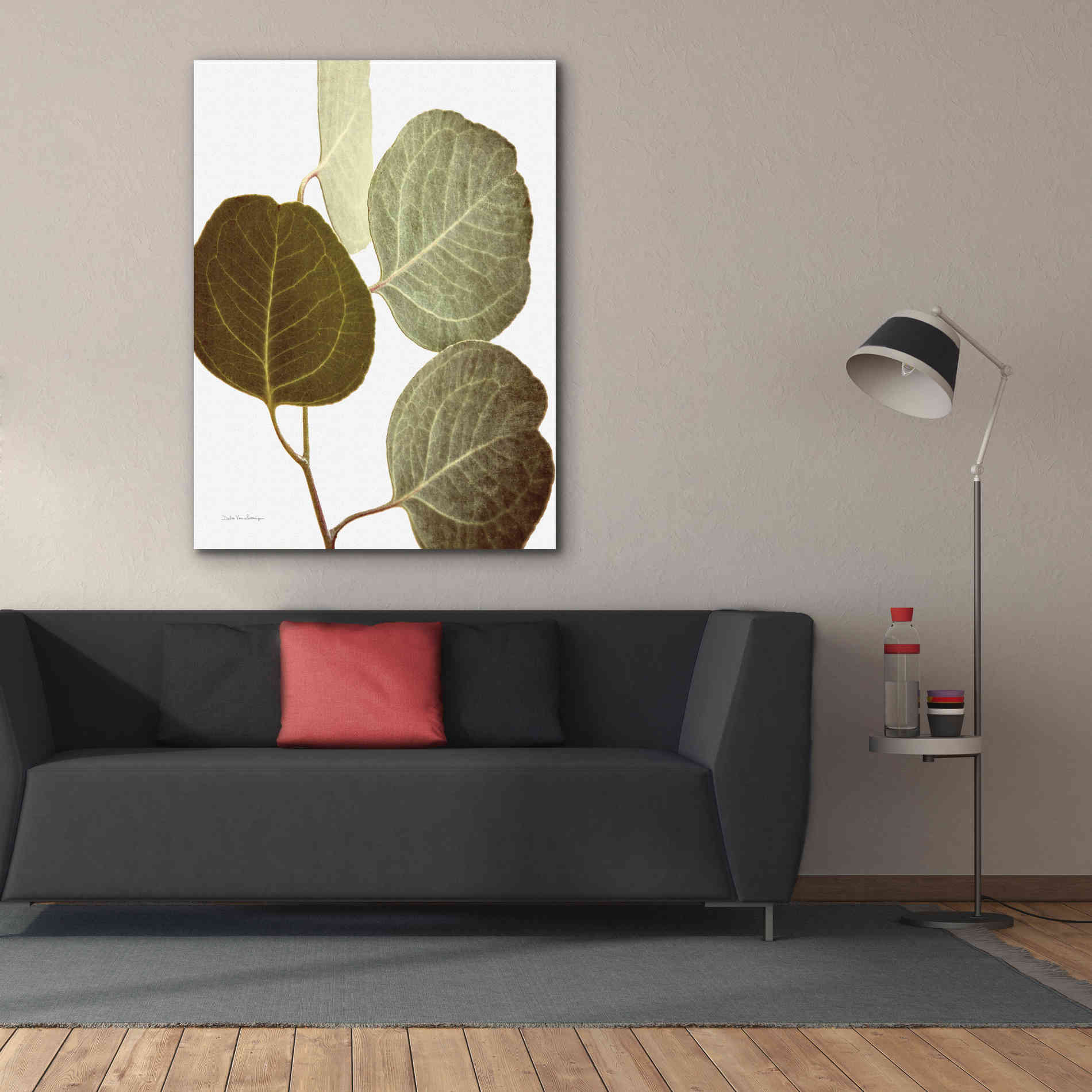 'Eucalyptus Color on White' by Debra Van Swearingen, Canvas Wall Art,40 x 54