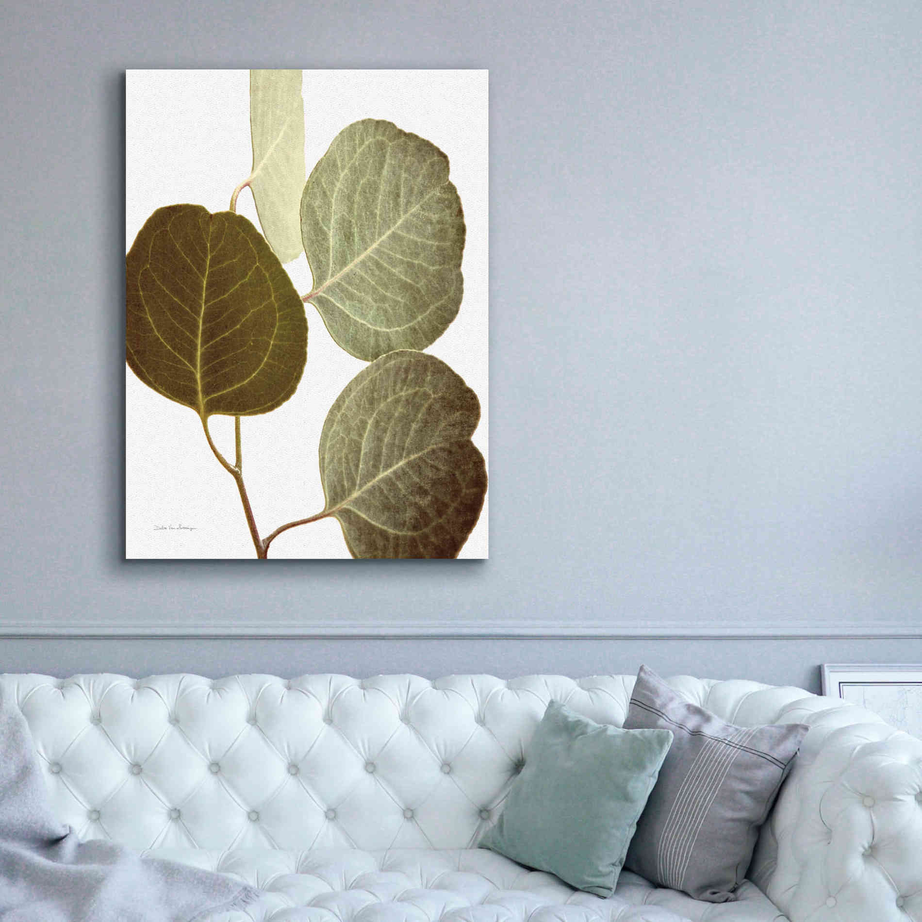 'Eucalyptus Color on White' by Debra Van Swearingen, Canvas Wall Art,40 x 54