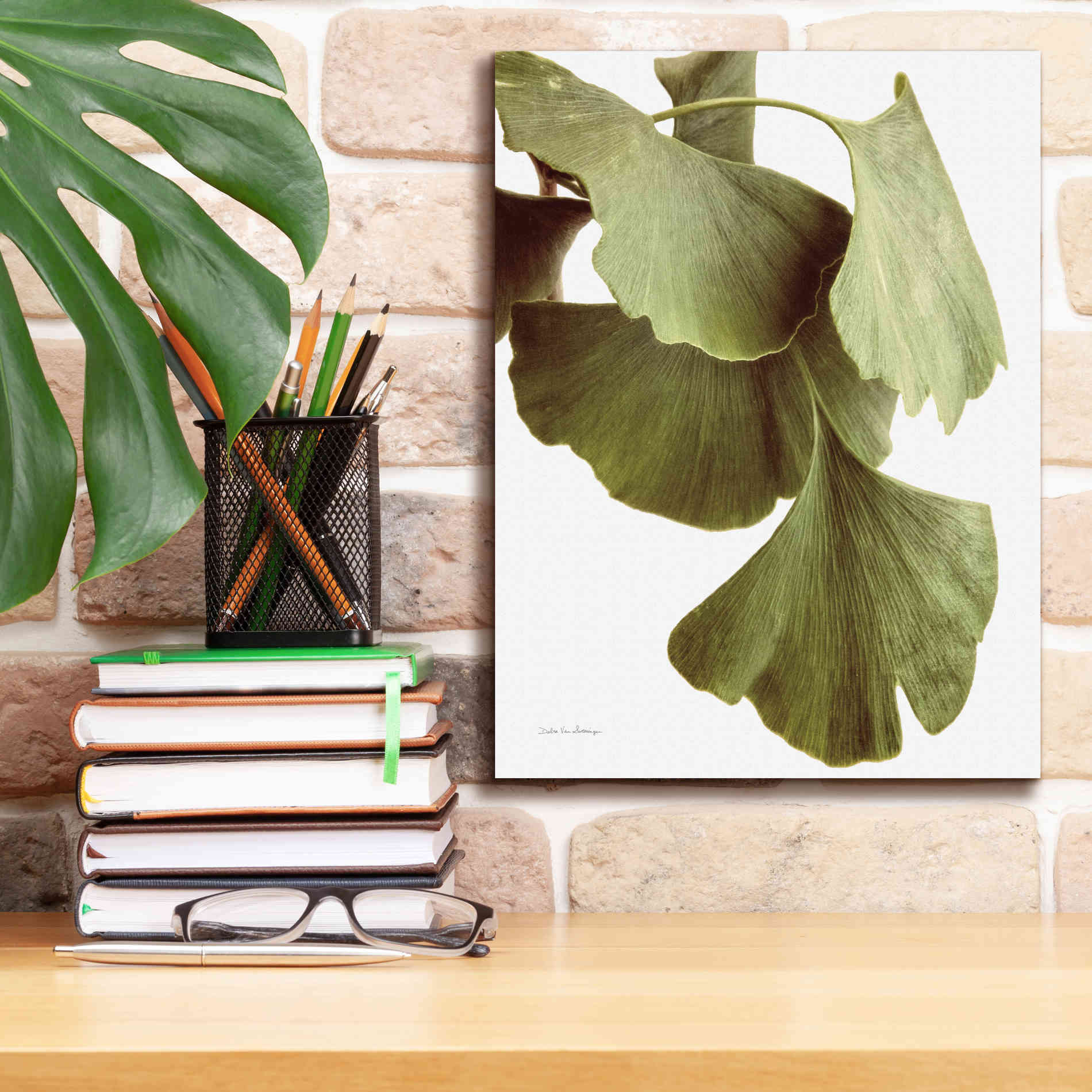 'Ginko Color on White' by Debra Van Swearingen, Canvas Wall Art,12 x 16
