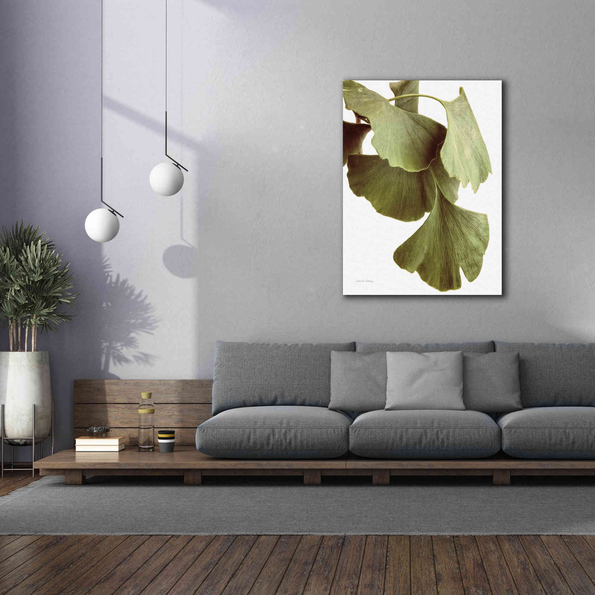 'Ginko Color on White' by Debra Van Swearingen, Canvas Wall Art,40 x 54