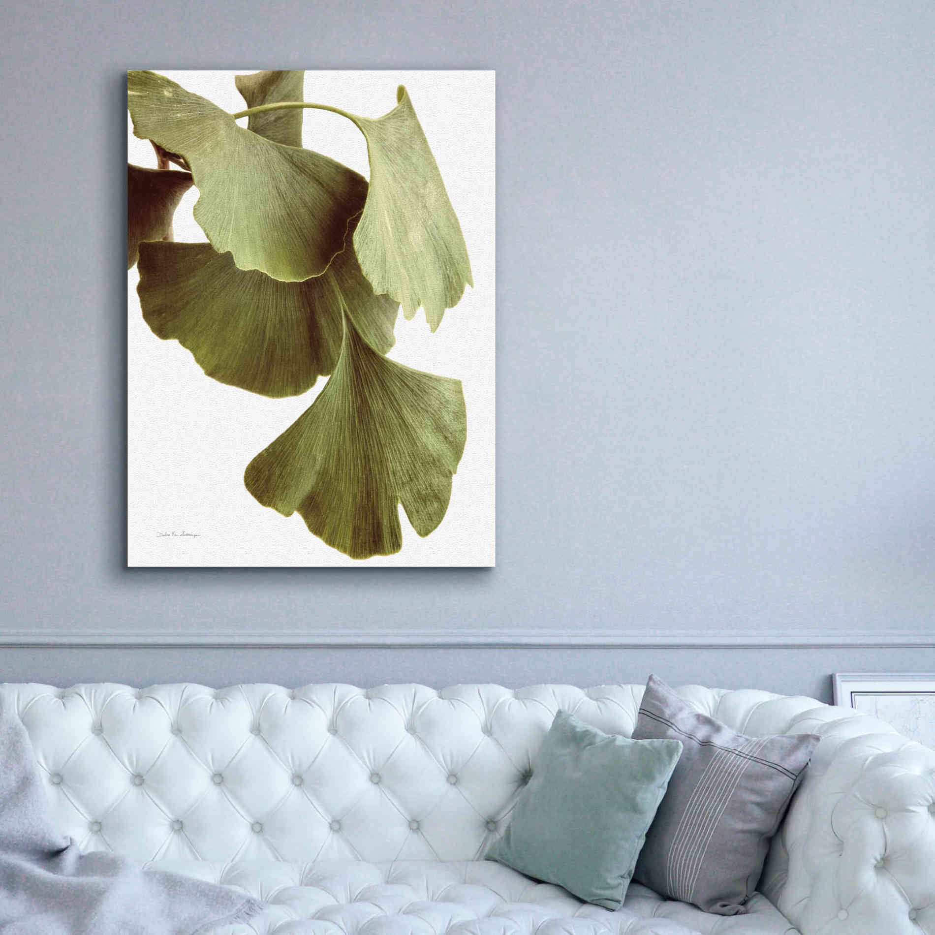'Ginko Color on White' by Debra Van Swearingen, Canvas Wall Art,40 x 54