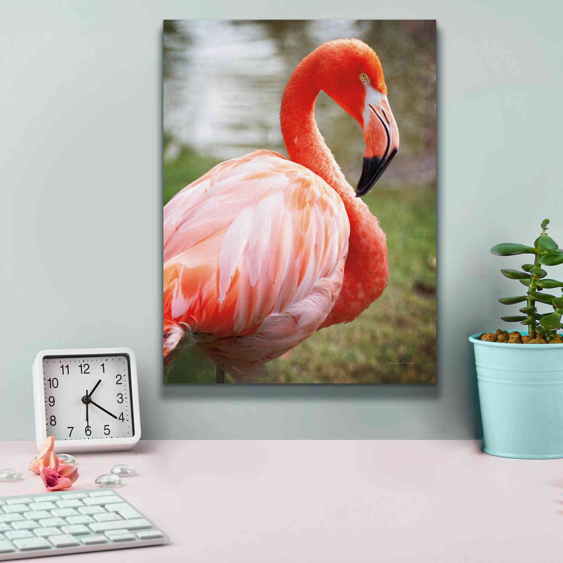 'Flamingo I' by Debra Van Swearingen, Canvas Wall Art,12 x 16