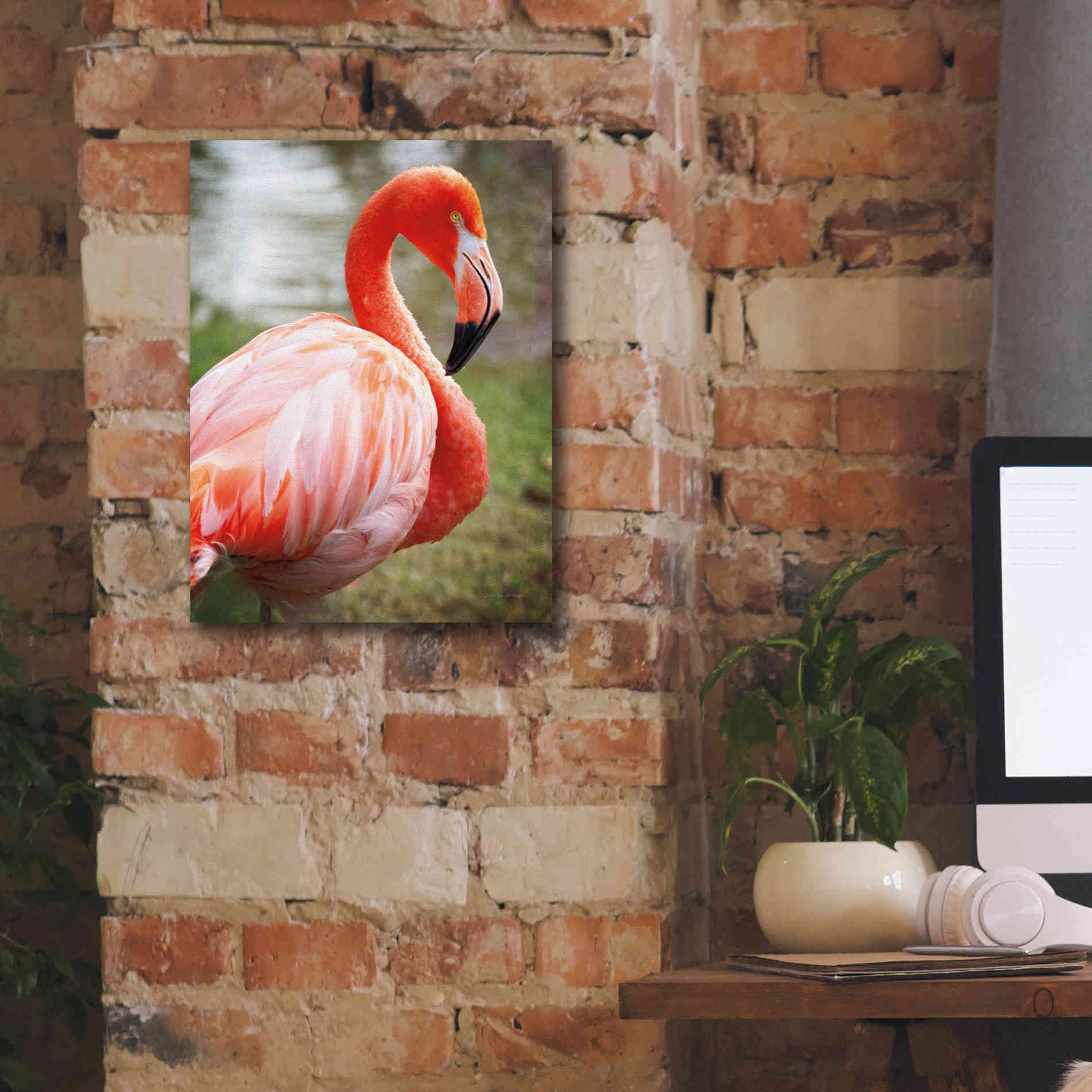 'Flamingo I' by Debra Van Swearingen, Canvas Wall Art,12 x 16