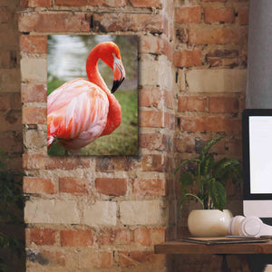 'Flamingo I' by Debra Van Swearingen, Canvas Wall Art,12 x 16