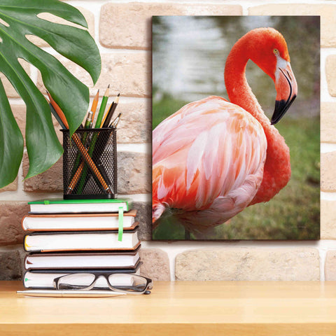 Image of 'Flamingo I' by Debra Van Swearingen, Canvas Wall Art,12 x 16