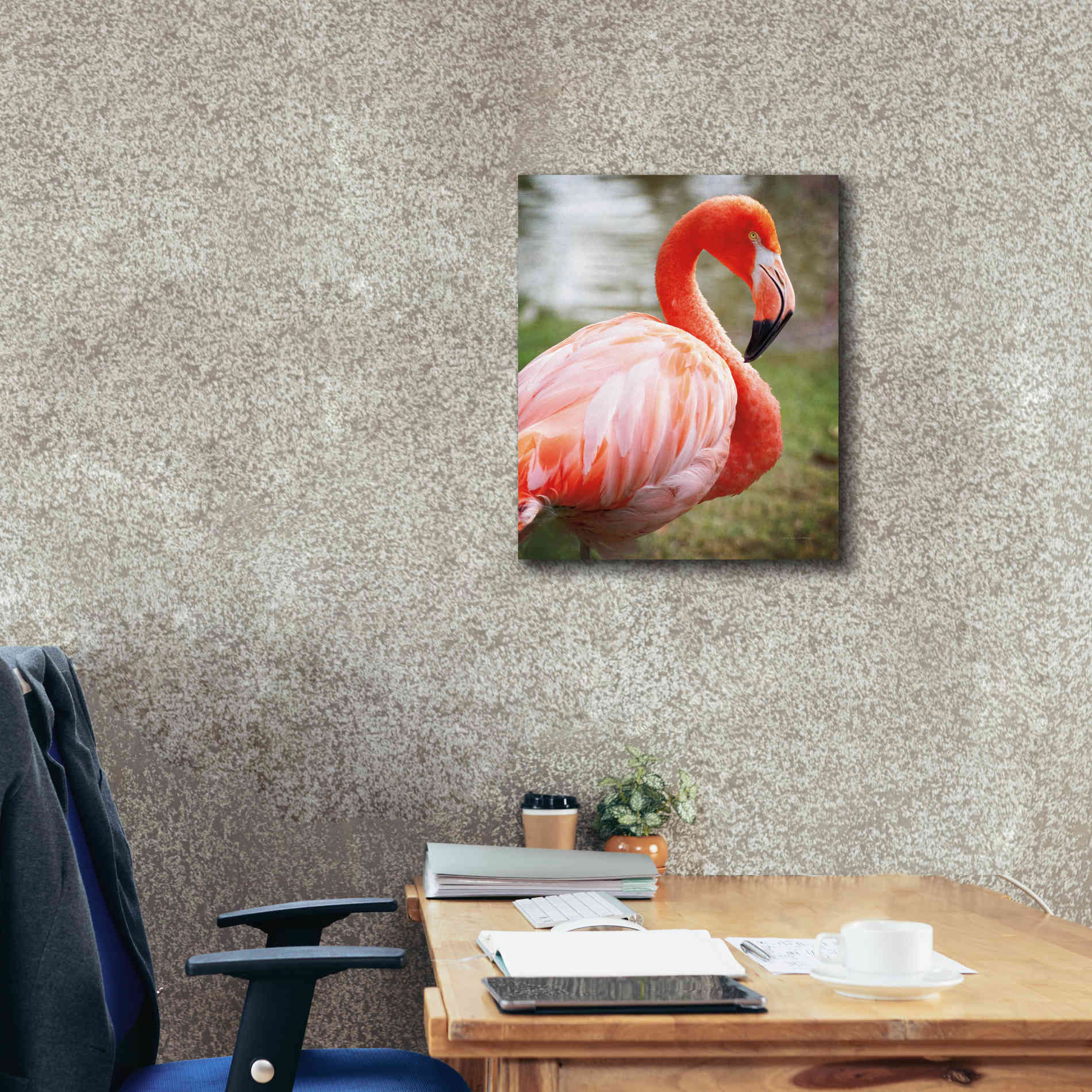 'Flamingo I' by Debra Van Swearingen, Canvas Wall Art,20 x 24