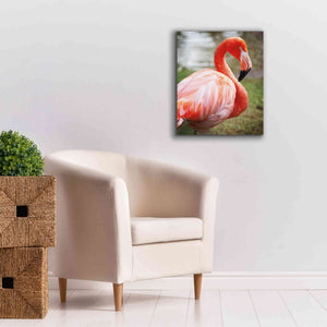 'Flamingo I' by Debra Van Swearingen, Canvas Wall Art,20 x 24