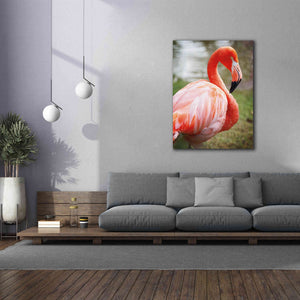 'Flamingo I' by Debra Van Swearingen, Canvas Wall Art,40 x 54