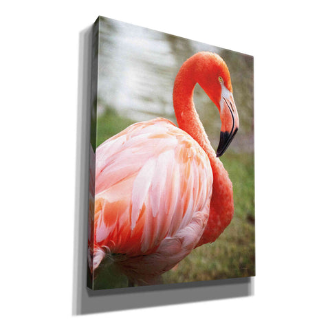 Image of 'Flamingo I' by Debra Van Swearingen, Canvas Wall Art,12x16x1.1x0,20x24x1.1x0,26x30x1.74x0,40x54x1.74x0