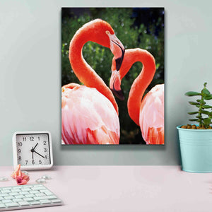 'Flamingo II' by Debra Van Swearingen, Canvas Wall Art,12 x 16