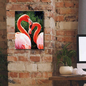 'Flamingo II' by Debra Van Swearingen, Canvas Wall Art,12 x 16