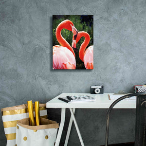 'Flamingo II' by Debra Van Swearingen, Canvas Wall Art,12 x 16