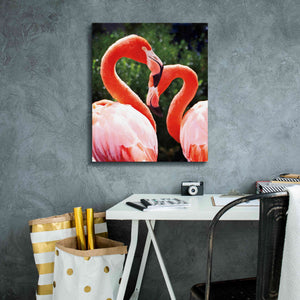 'Flamingo II' by Debra Van Swearingen, Canvas Wall Art,20 x 24